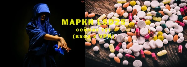 дмт Аркадак