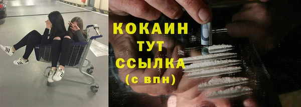 дмт Аркадак
