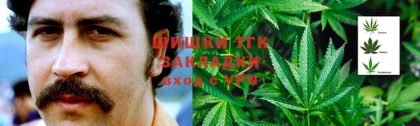 дмт Аркадак